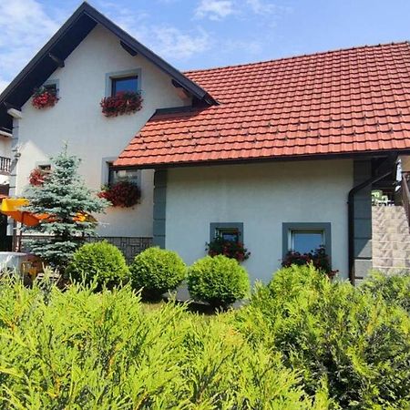 Privatni Smestaj Tesevic Zlatibor Zewnętrze zdjęcie