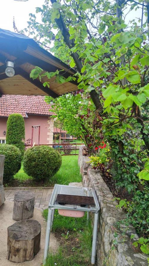 Privatni Smestaj Tesevic Zlatibor Zewnętrze zdjęcie